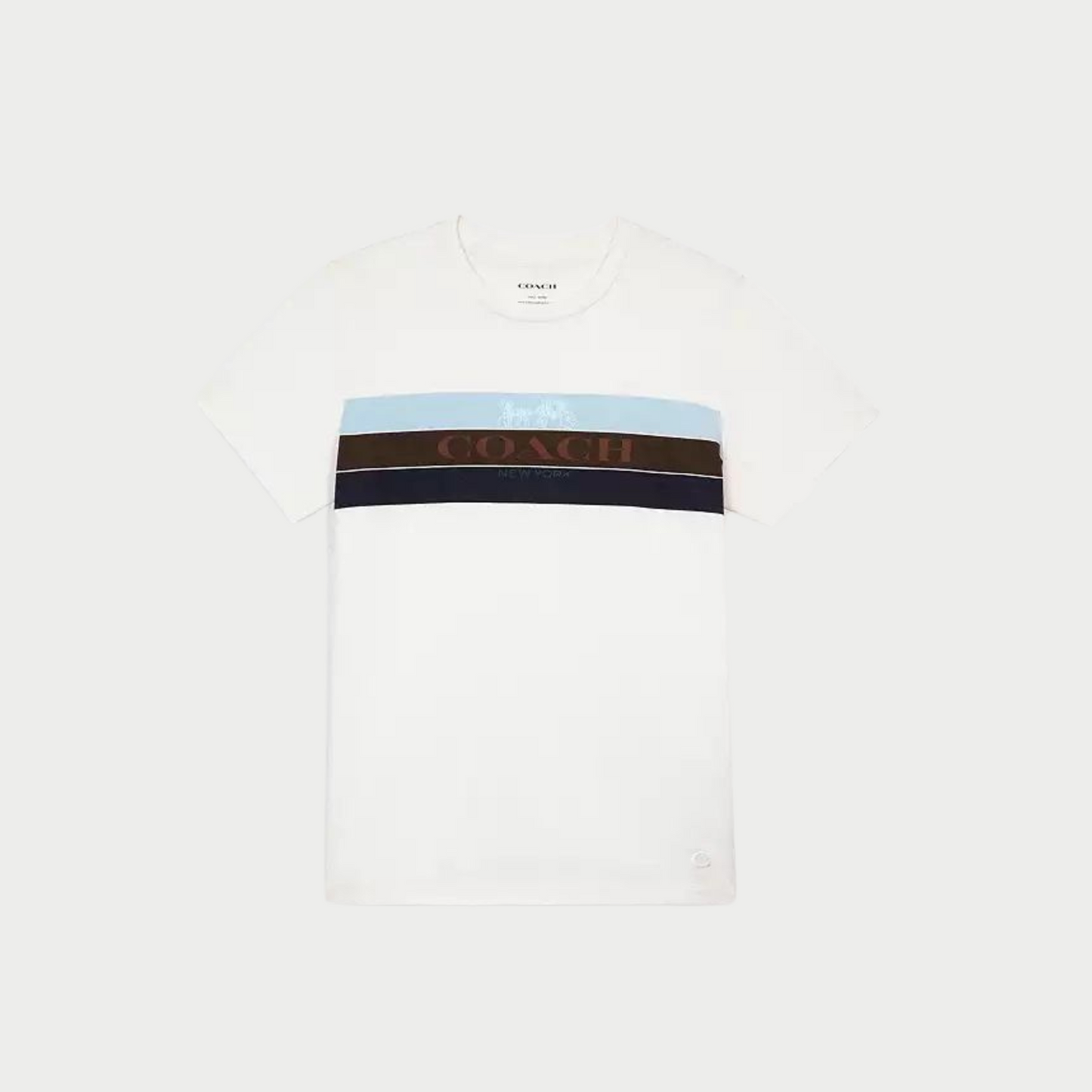 Polo Coach