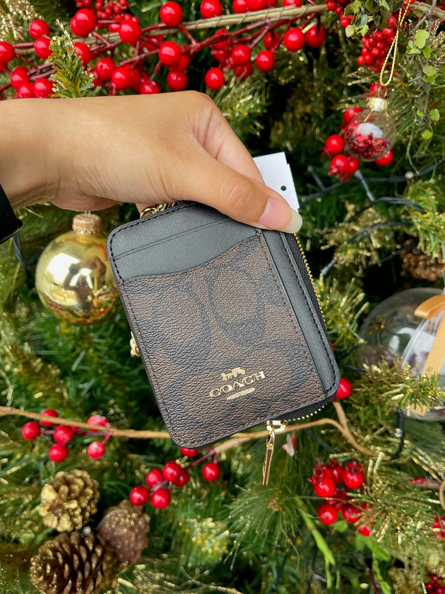 Monedero Coach