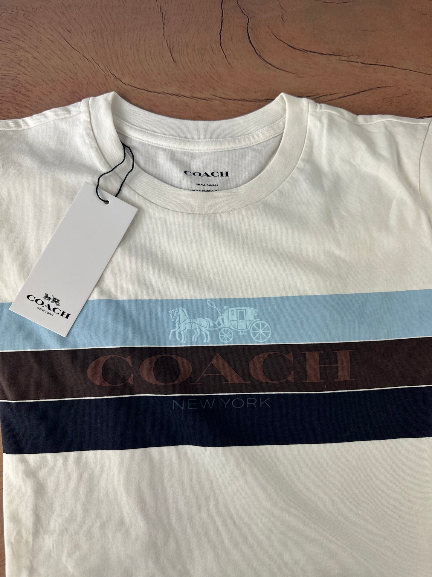 Polo Coach