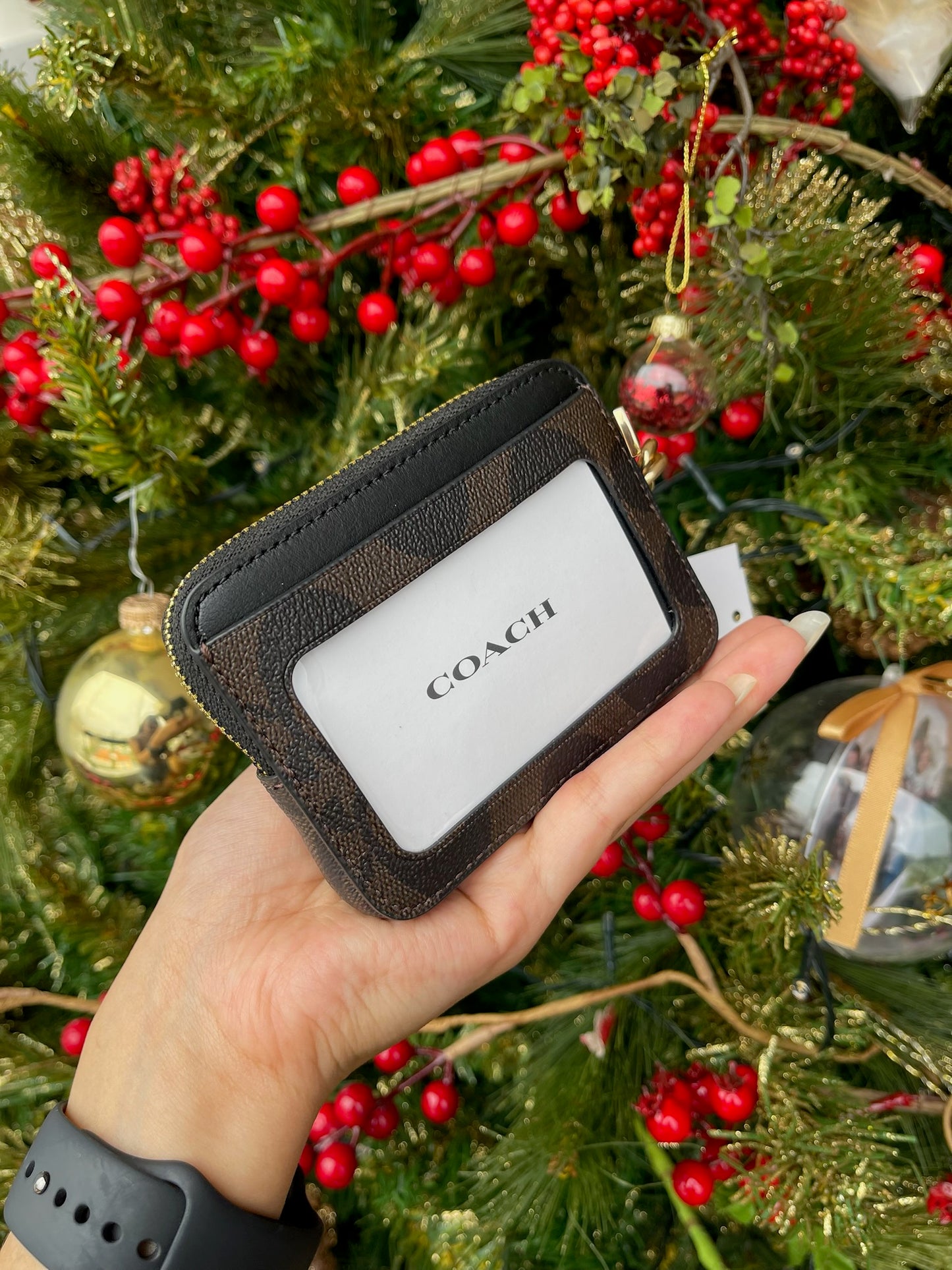 Monedero Coach