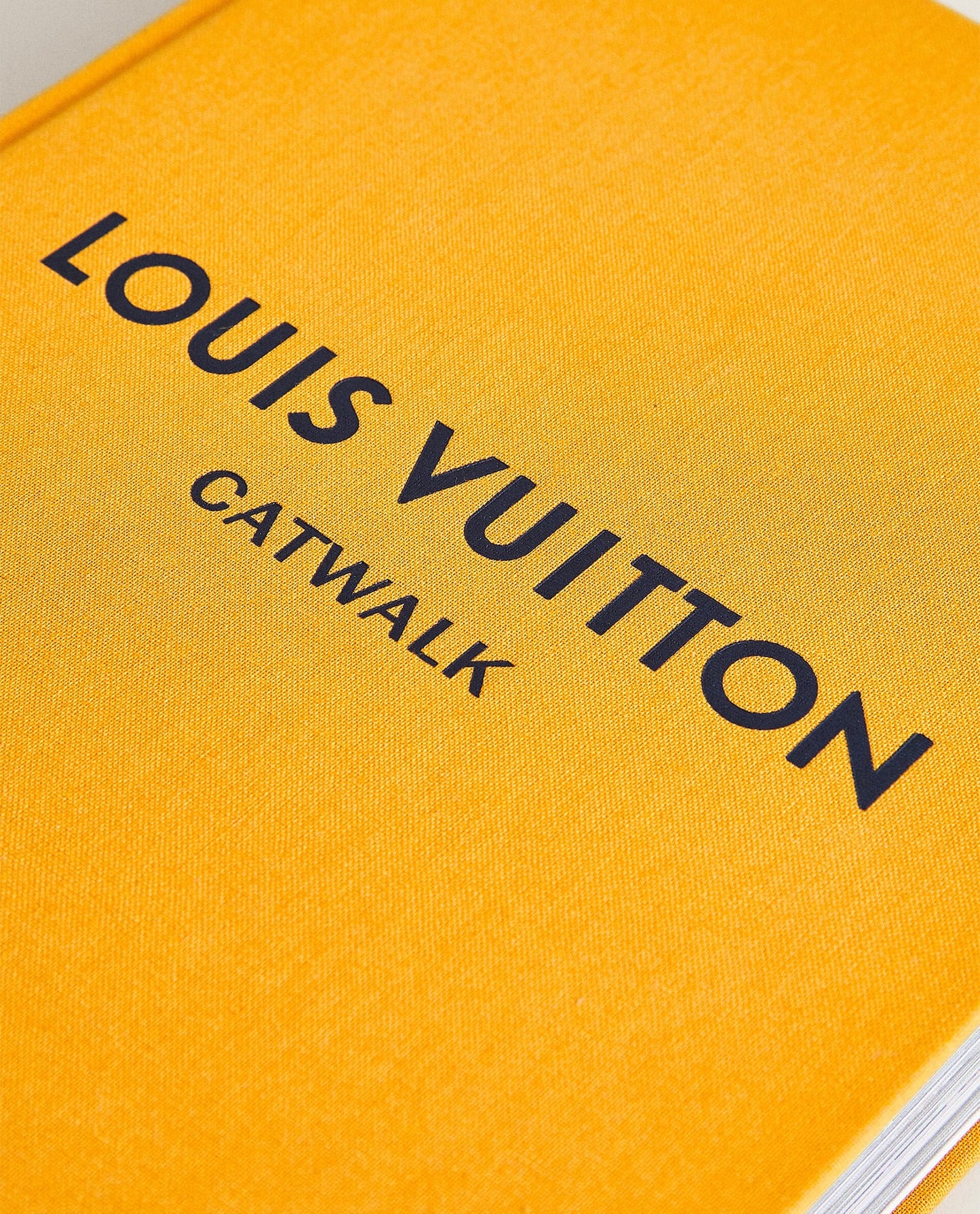 Louis Vuitton Catwalk