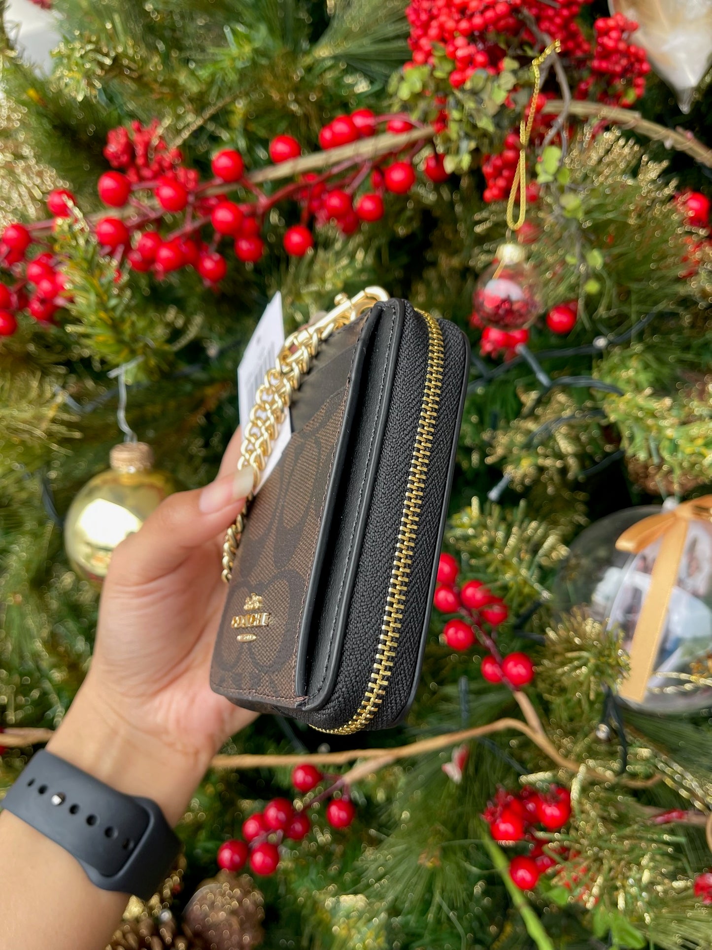 Monedero Coach